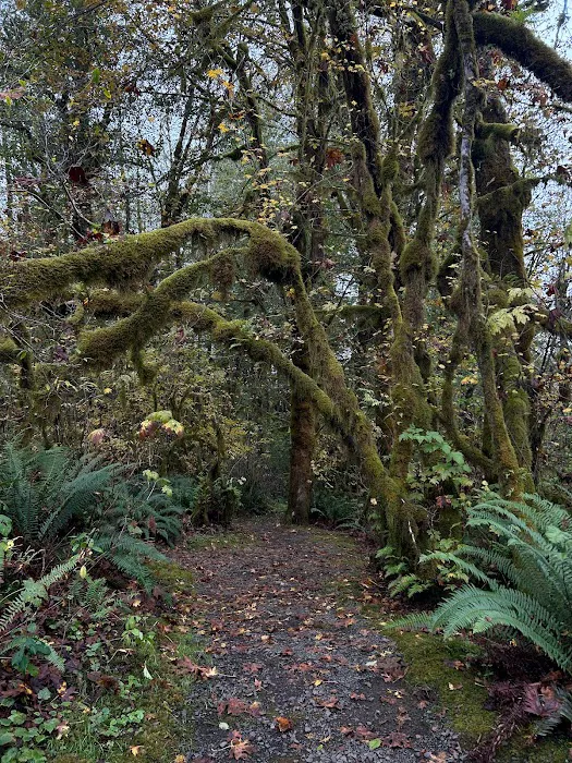 Roam Tillamook Picture 3