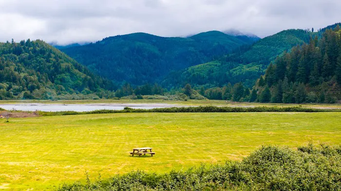 Roam Tillamook Picture 8