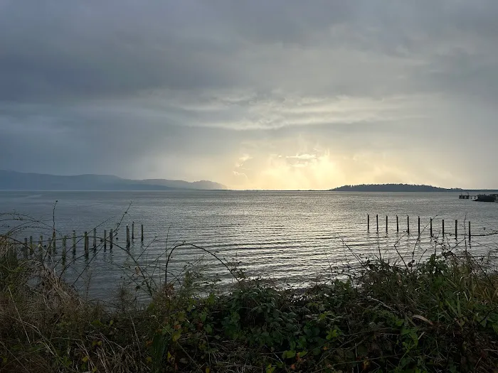 Roam Tillamook Picture 4