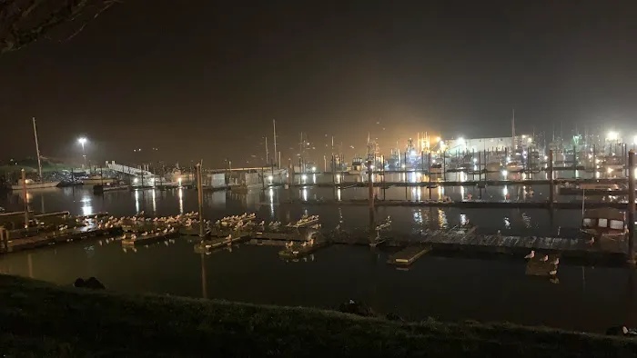 Port Of Garibaldi RV Park Picture 1