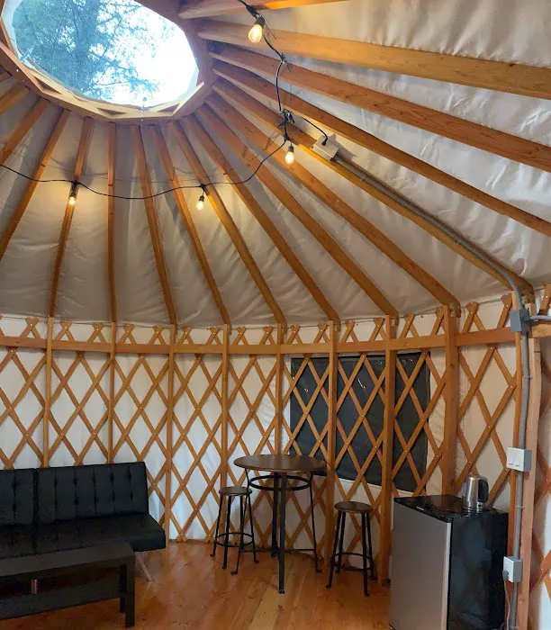 Tillamook Bay City RV Park Inc Picture 6