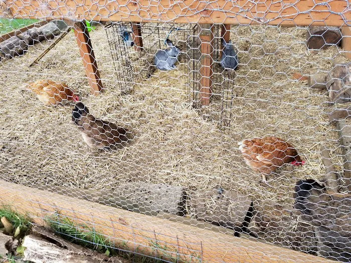 Tillamook RV Park Picture 9