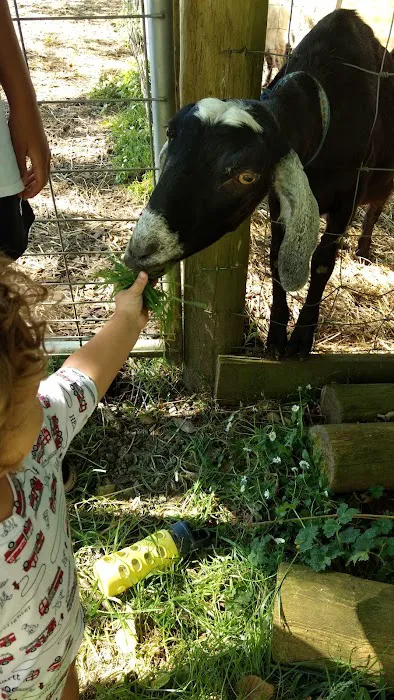 Tillamook RV Park Picture 4