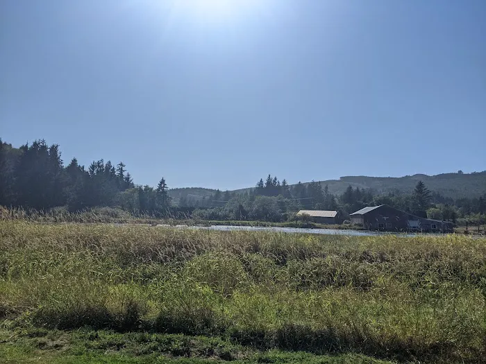 Tillamook Coast RV Park Picture 2