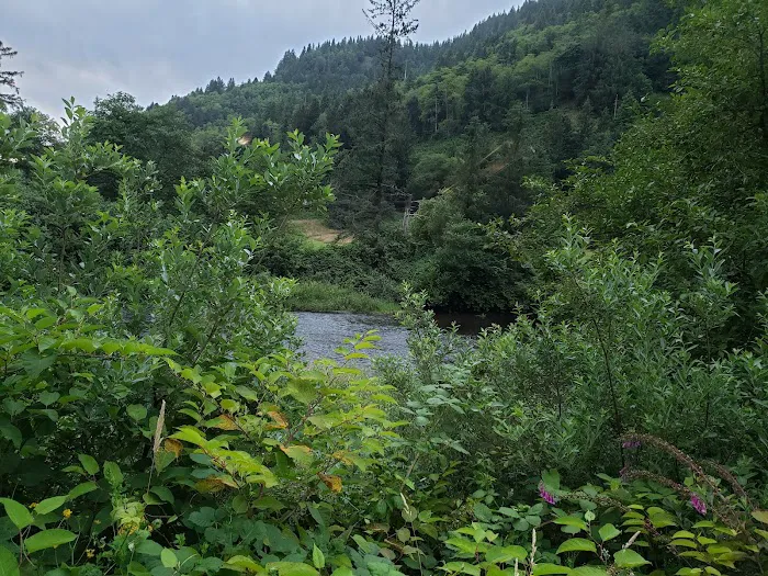 Misty River RV Park and Glamping Picture 4