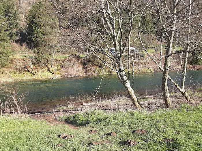 Misty River RV Park and Glamping Picture 3