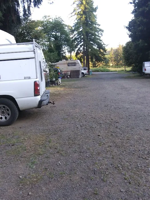 Netarts Way RV Park Picture 4