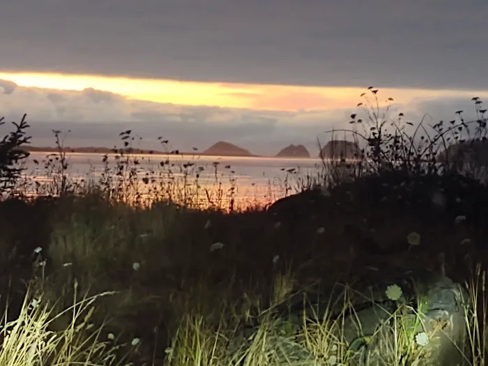 Netarts Way RV Park Picture 2