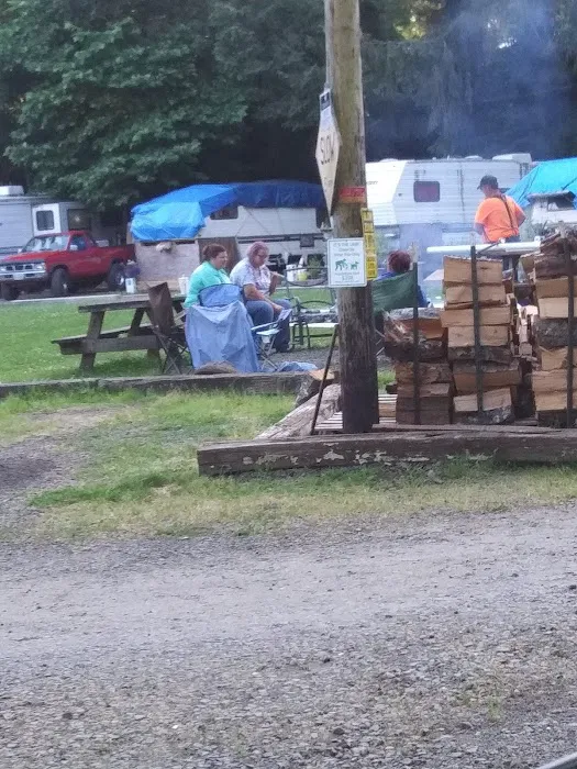 Netarts Way RV Park Picture 8