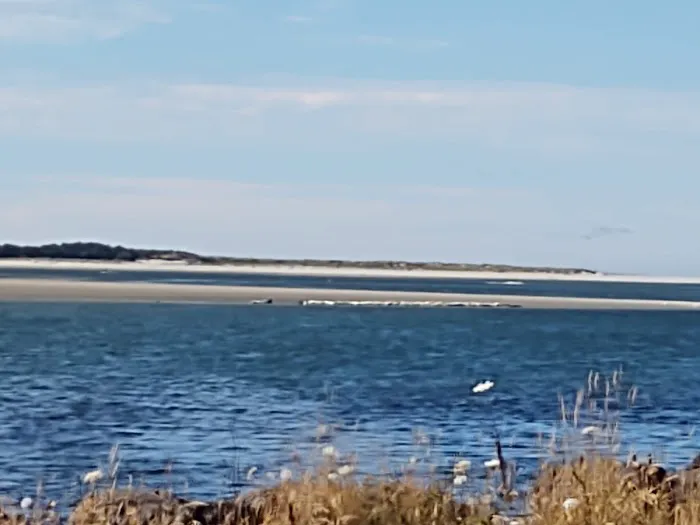 Netarts Way RV Park Picture 1