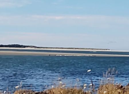 Netarts Way RV Park