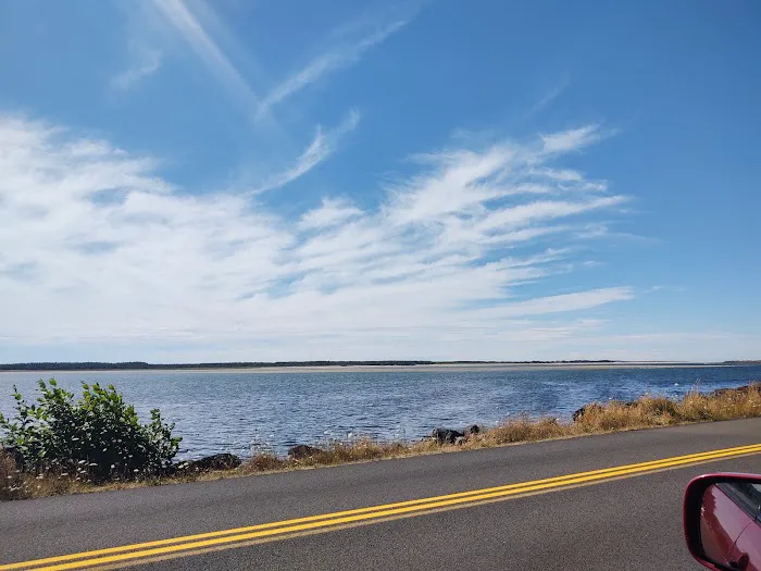 Netarts Way RV Park Picture 3