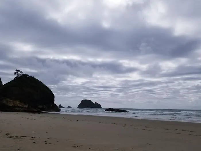 Netarts Way RV Park Picture 5