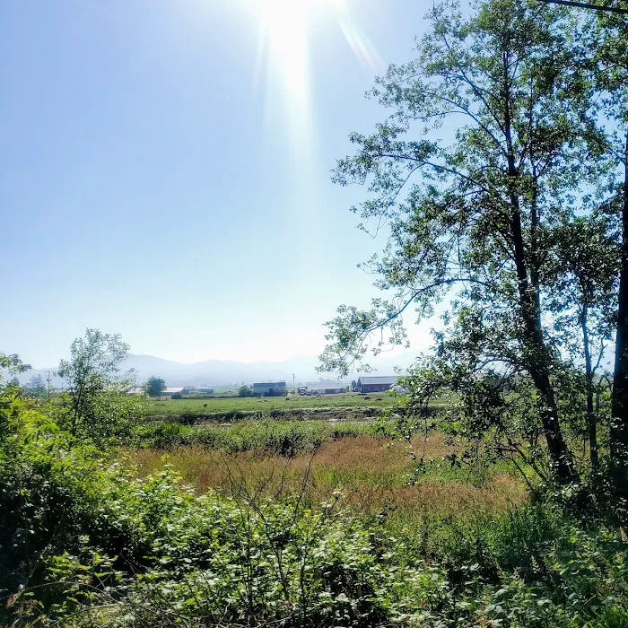 Netarts Way RV Park Picture 6