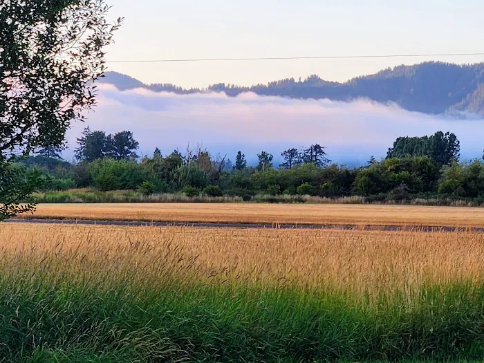 Port of Tillamook Bay RV Park Picture 7
