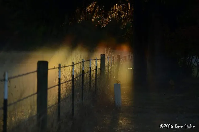 Tenino Estates LLC & RV Park Picture 6