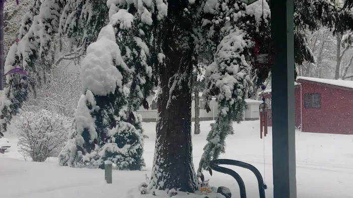 Whispering Woods Picture 2