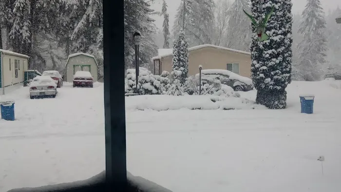 Whispering Woods Picture 1