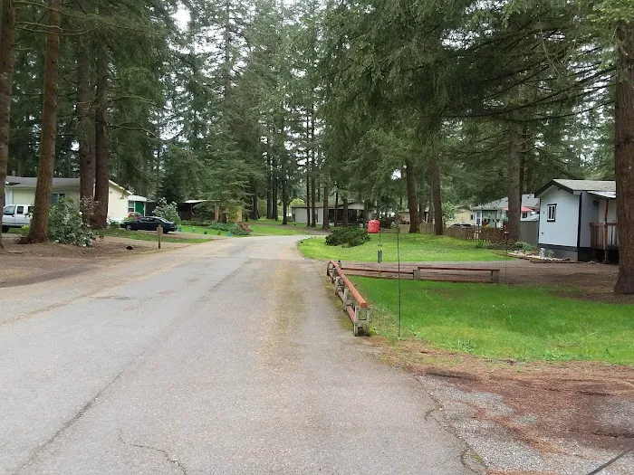 Whispering Woods Picture 3