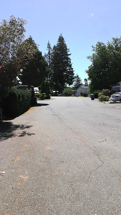 Collective Communities Tanglewood MHC Picture 3