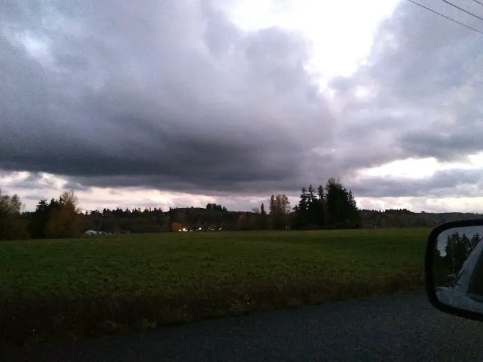 Collective Communities Tanglewood MHC Picture 5