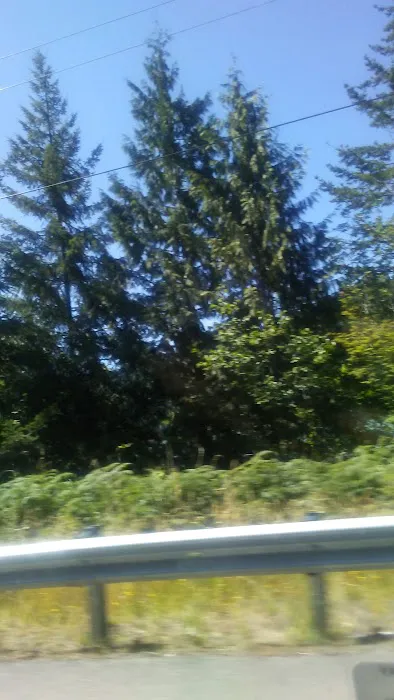 Eagle's Nest RV Park Picture 6