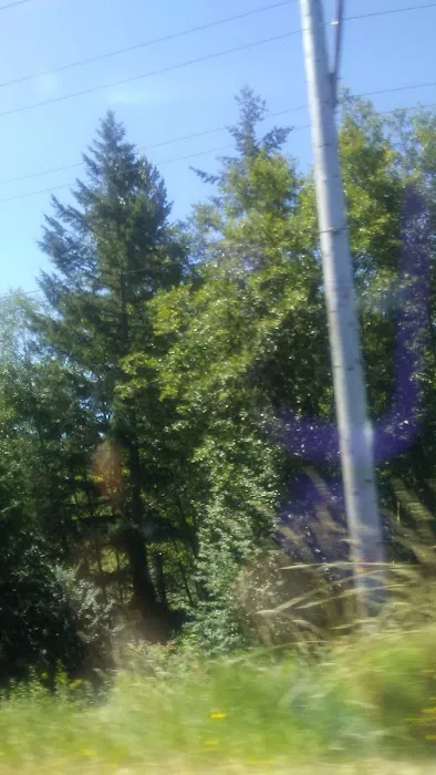 Eagle's Nest RV Park Picture 5