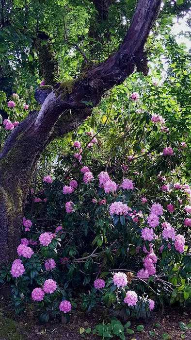 Deep Lake Resort Picture 4