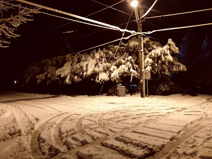 Green Haven RV Park Picture 4