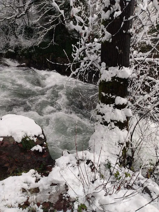 Green Haven RV Park Picture 6