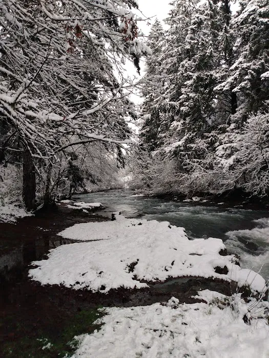 Green Haven RV Park Picture 10