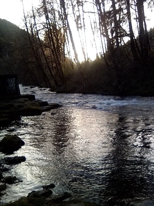 Green Haven RV Park Picture 5