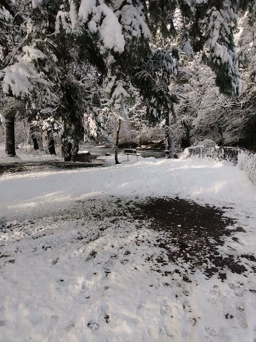 Green Haven RV Park Picture 8