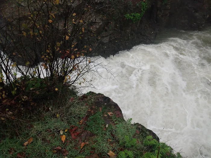 Green Haven RV Park Picture 2