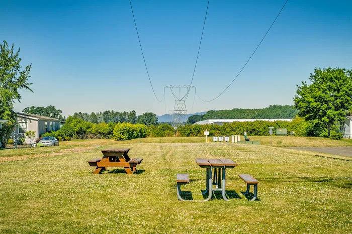 Columbus Greens Picture 9