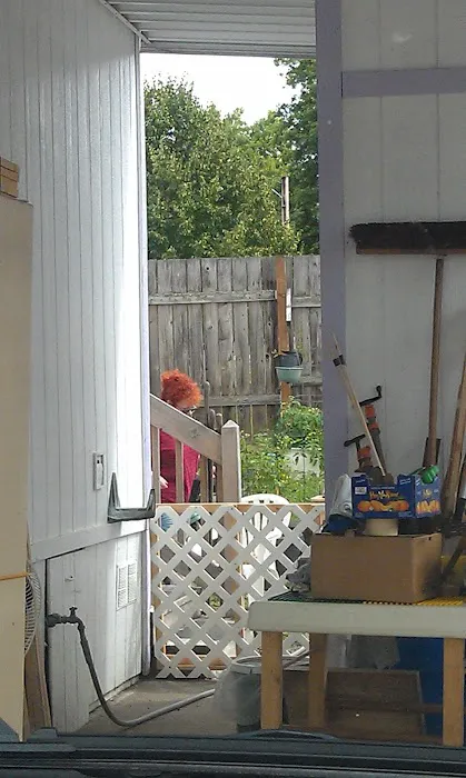 Oak View Terrace Picture 6