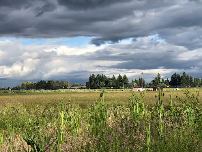 Knoll Terrace Picture 1