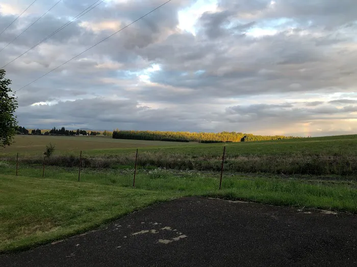 Knoll Terrace Picture 10