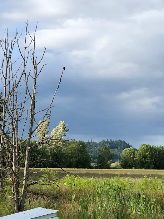 Knoll Terrace Picture 7