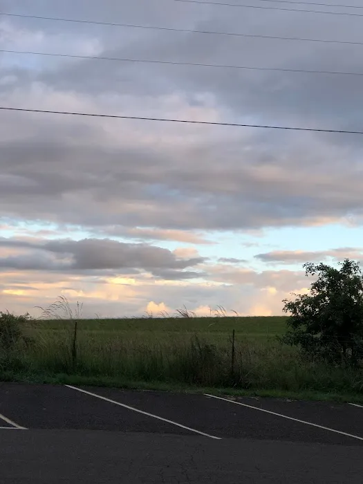 Knoll Terrace Picture 8