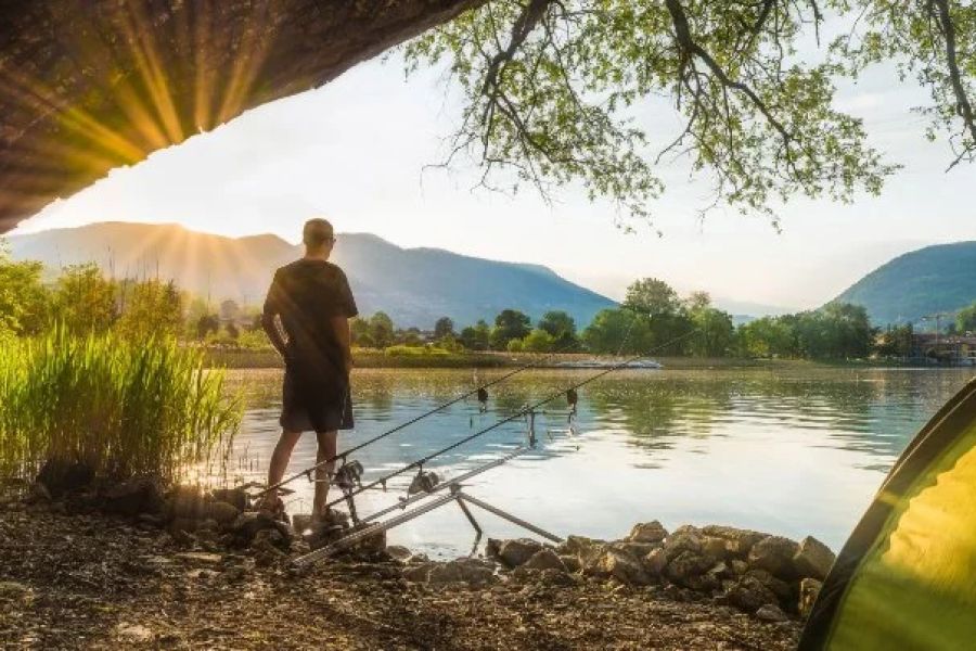 Best Campsites for Fishing Adventures in the U.S.