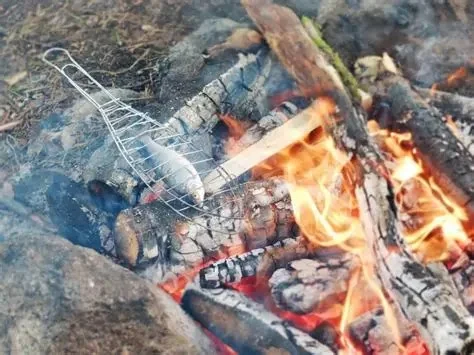 How to Cook Fish Fillets and Skewers Over a Campfire: A Complete Guide