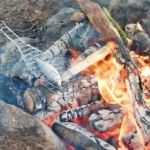 How to Cook Fish Fillets and Skewers Over a Campfire: A Complete Guide