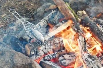 How to Cook Fish Fillets and Skewers Over a Campfire: A Complete Guide