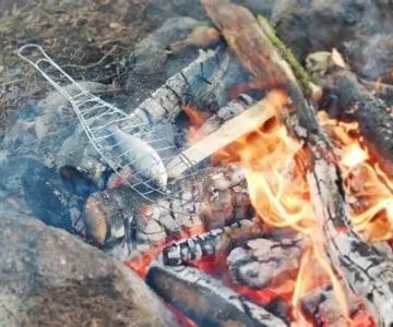 How to Cook Fish Fillets and Skewers Over a Campfire: A Complete Guide