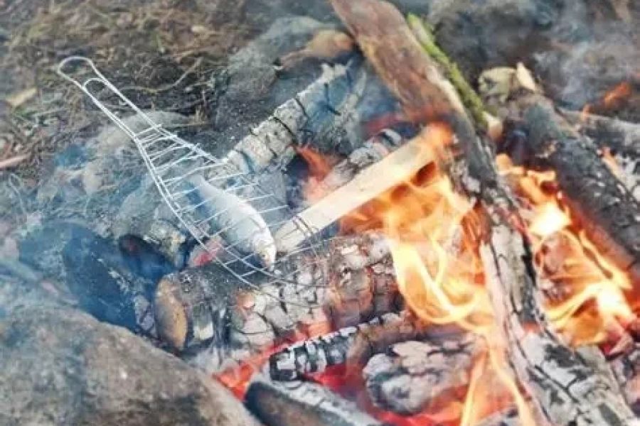 How to Cook Fish Fillets and Skewers Over a Campfire: A Complete Guide