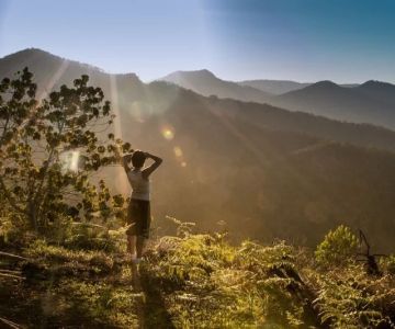 How to Enjoy a Digital Detox While Camping in Nature