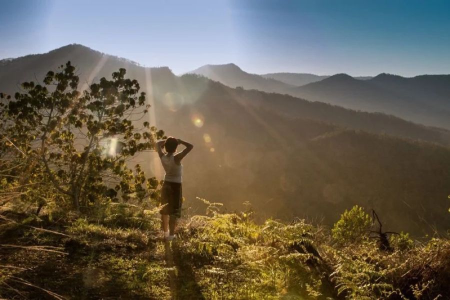 How to Enjoy a Digital Detox While Camping in Nature