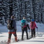 Best Campsites for Snowshoeing and Winter Fun – Top Destinations for Winter Adventures