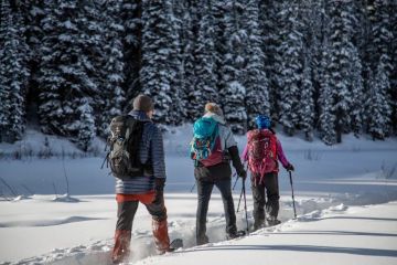 Best Campsites for Snowshoeing and Winter Fun – Top Destinations for Winter Adventures